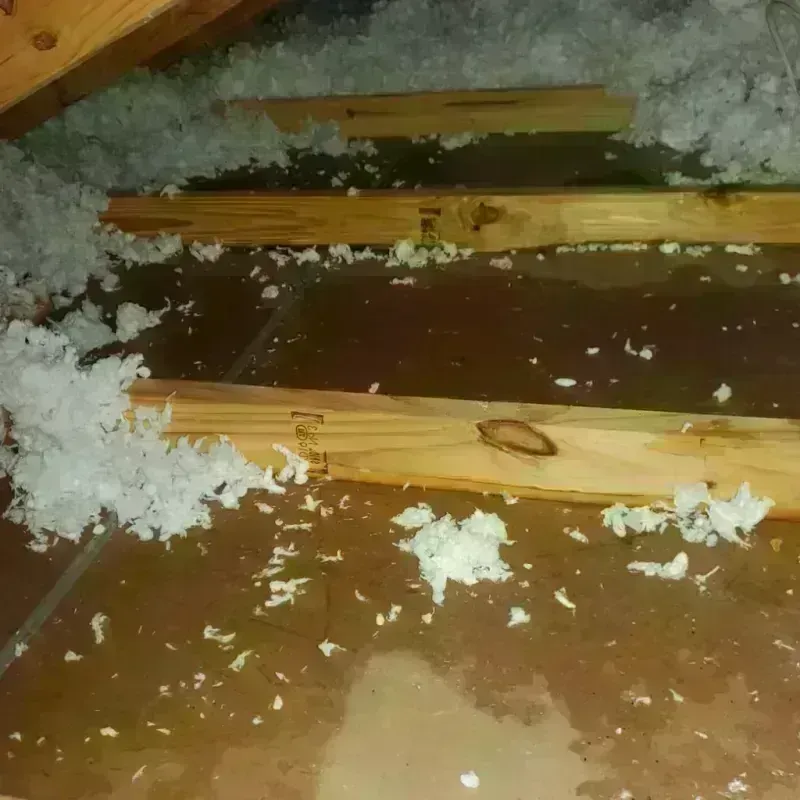 Attic Water Damage in Williams, OR