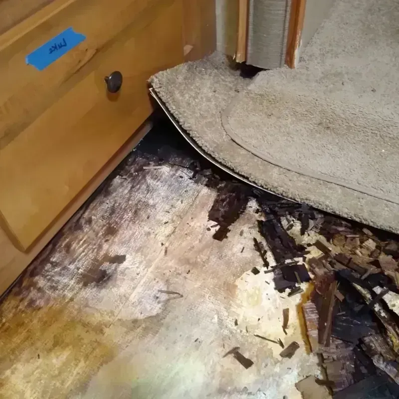 Wood Floor Water Damage in Williams, OR